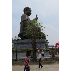 Chiêm ngưỡng tượng Phật bằng đồng lớn nhất Việt Nam tại trúc lâm thiên trường